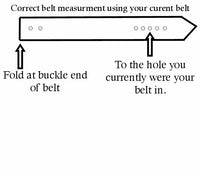 Badlands Elk Belt